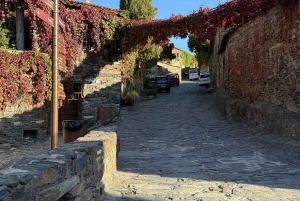 Från Madrid: De förtrollande byarna Patones och Pedraza