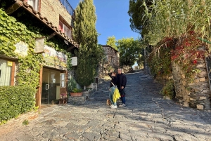 Från Madrid: De förtrollande byarna Patones och Pedraza