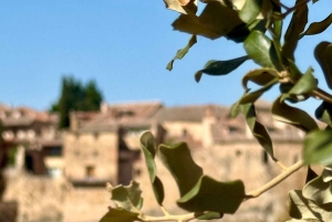 Från Madrid: De förtrollande byarna Patones och Pedraza