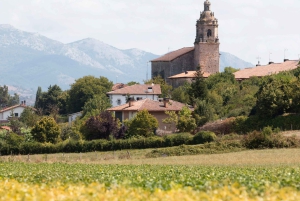 Z Madrytu: smaki Segowii i Ávili dla smakoszy