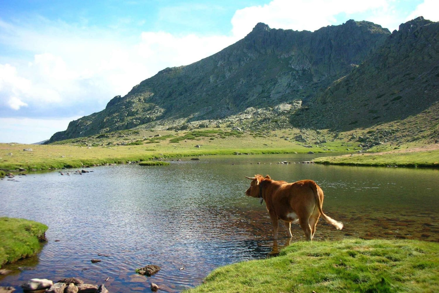 Madridista: Guadarraman kansallispuisto Yksityinen retki