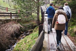 Madridista: Guadarraman kansallispuisto Yksityinen retki