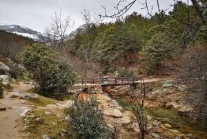 Madridista: Guadarraman kansallispuisto Yksityinen retki