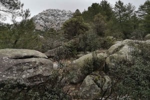 Madridista: Guadarraman kansallispuisto Yksityinen retki