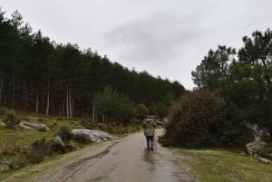 Madridista: Guadarraman kansallispuisto Yksityinen retki