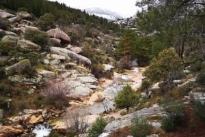 Madridista: Guadarraman kansallispuisto Yksityinen retki