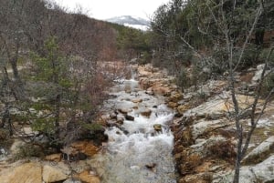 Madridista: Guadarraman kansallispuisto Yksityinen retki