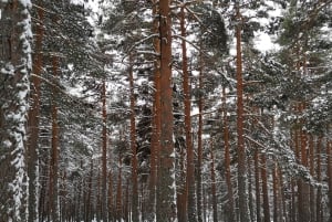 Madridista: Guadarraman kansallispuisto Yksityinen retki