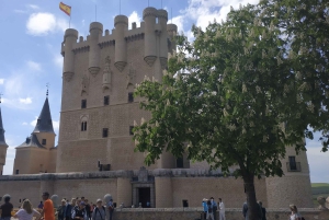 Fra Madrid: Guidet dagsudflugt til Segovia og Toledo