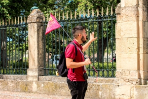 Fra Madrid: Guidet dagsudflugt til Segovia og Toledo