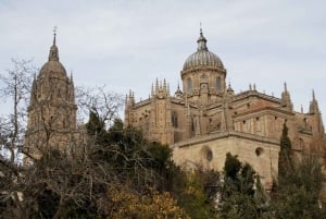 From Madrid: Guided Day Trip to Segovia, optional Alcázar