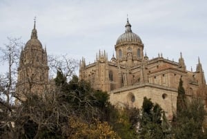 Von Madrid aus: Geführte Tagestour nach Segovia, optional Alcázar