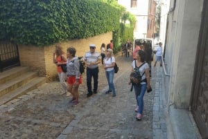 Madrid: Heldags- eller halvdagsutflykt till Toledo