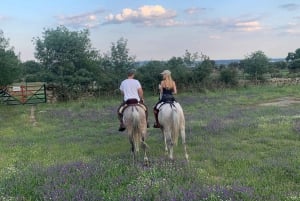 From Madrid: Horseback riding Experience