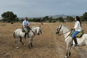 From Madrid: Horseback riding Experience