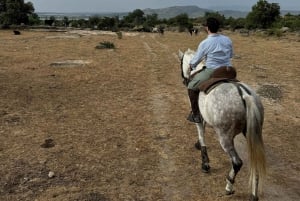 De Madri: Experiência de cavalgada