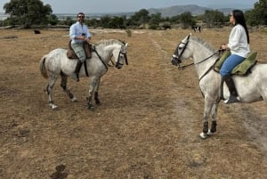De Madri: Experiência de cavalgada
