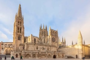 Da Madrid: La Rioja e i Paesi Baschi: tour di 4 giorni