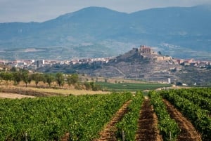 Fra Madrid: 4 dagers tur til La Rioja og Baskerland