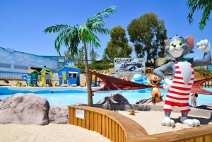 マドリード発：パルケワーナービーチウォーターパーク＆交通機関