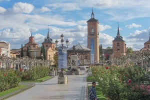 From Madrid: Private Day Trip to Alcalá de Henares