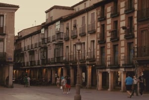De Madri: viagem particular de um dia a Alcalá de Henares