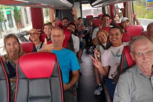 Da Madrid: tour privato di mezza giornata ad Avila