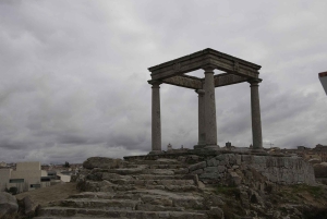 Da Madrid: tour privato di mezza giornata ad Avila