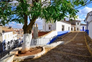 From Madrid: Private Toledo and La Mancha Windmills Day Trip