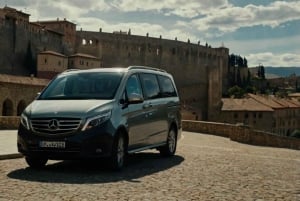 From Madrid: Private Transfer to Segovia