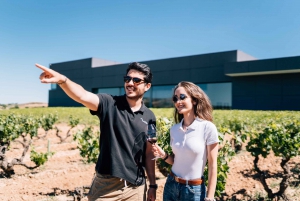 From Madrid: Ribera del Duero, Peñafiel, and 2 Top Wineries