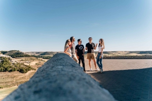 From Madrid: Ribera del Duero, Peñafiel, and 2 Top Wineries