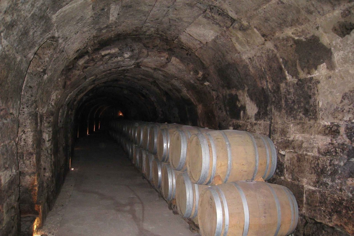 Från Madrid: Ribera del Duero Tour av 3 olika vingårdar