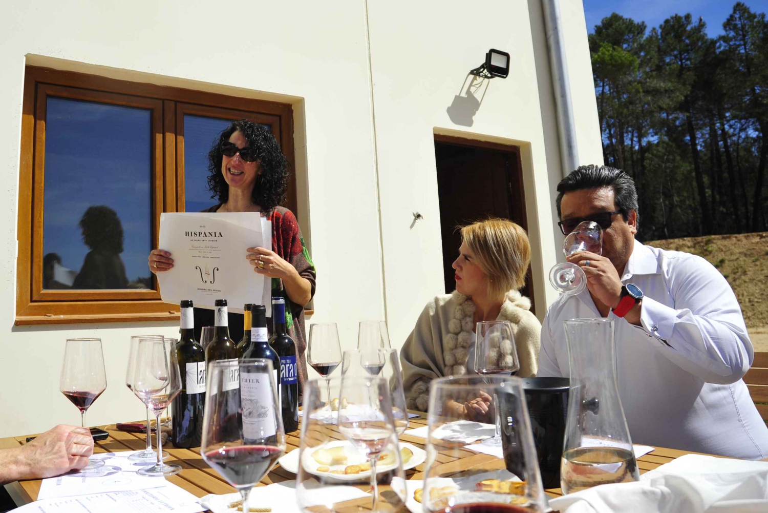 From Madrid: Ribera del Duero Tour of 3 Different Wineries