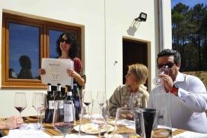 Fra Ribera del Duero Tour af 3 forskellige vingårde