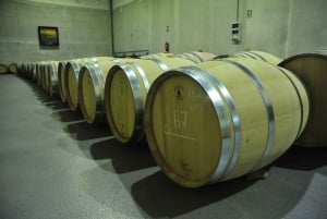 Madridista: Ribera del Duero -kierros 3 eri viinitilalla.