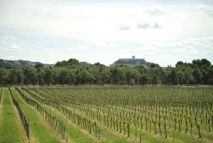 Från Ribera del Duero Tour av 3 olika vingårdar