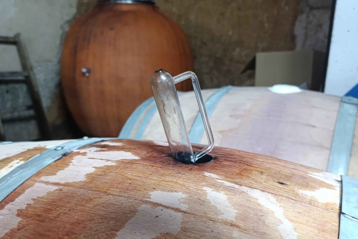 Da Madrid: tour enologico della Ribera del Duero con pranzo locale