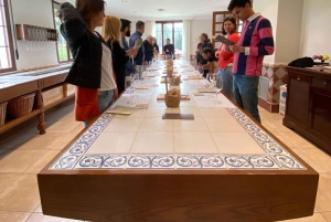 Da Madrid: tour enologico della Ribera del Duero con pranzo locale