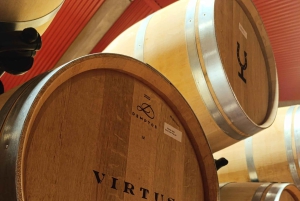 Da Madrid: tour enologico della Ribera del Duero con pranzo locale