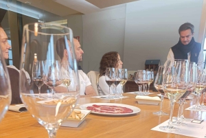 Da Madrid: tour enologico della Ribera del Duero con pranzo locale