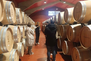 Da Madrid: tour enologico della Ribera del Duero con pranzo locale
