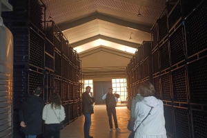 Da Madrid: tour enologico della Ribera del Duero con pranzo locale