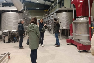 Da Madrid: tour enologico della Ribera del Duero con pranzo locale