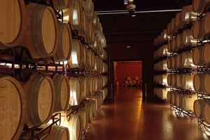 Da Madrid: tour enologico della Ribera del Duero con pranzo locale