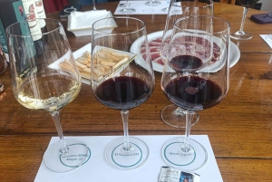 Da Madrid: tour enologico della Ribera del Duero con pranzo locale