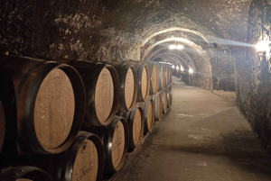 Da Madrid: tour enologico della Ribera del Duero con pranzo locale