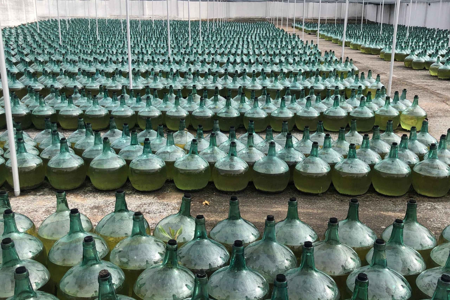 De Madrid: Excursão ao Vinho Branco de Rueda e Almoço Michelin