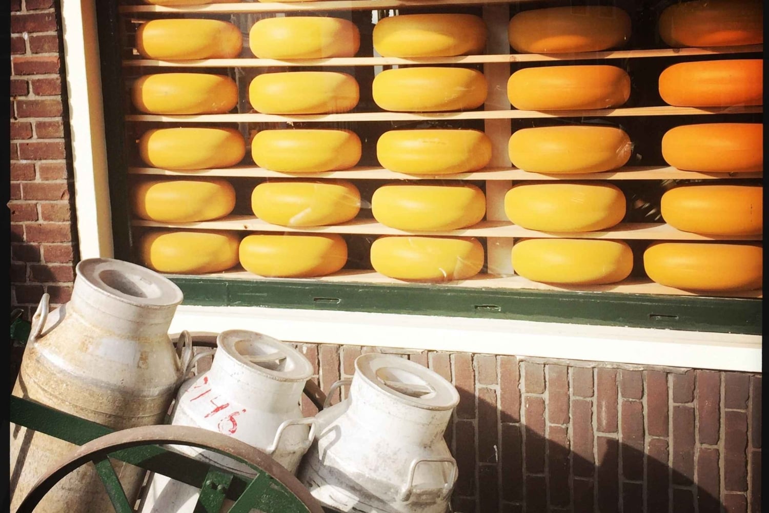 Desde Madrid: Segovia y Ávila en grupo pequeño: Alcázar y murallas