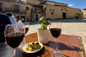 Desde Madrid: Segovia y Ávila en grupo pequeño: Alcázar y murallas